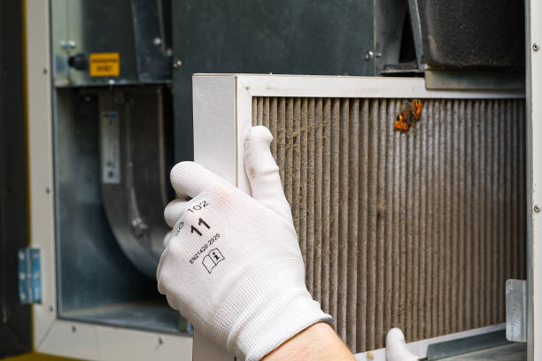Best Air Duct Cleaning Near Me  in Timmonsville, SC